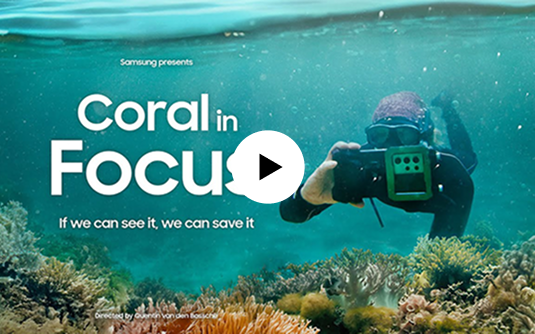 'Coral in Focus' on YouTube
